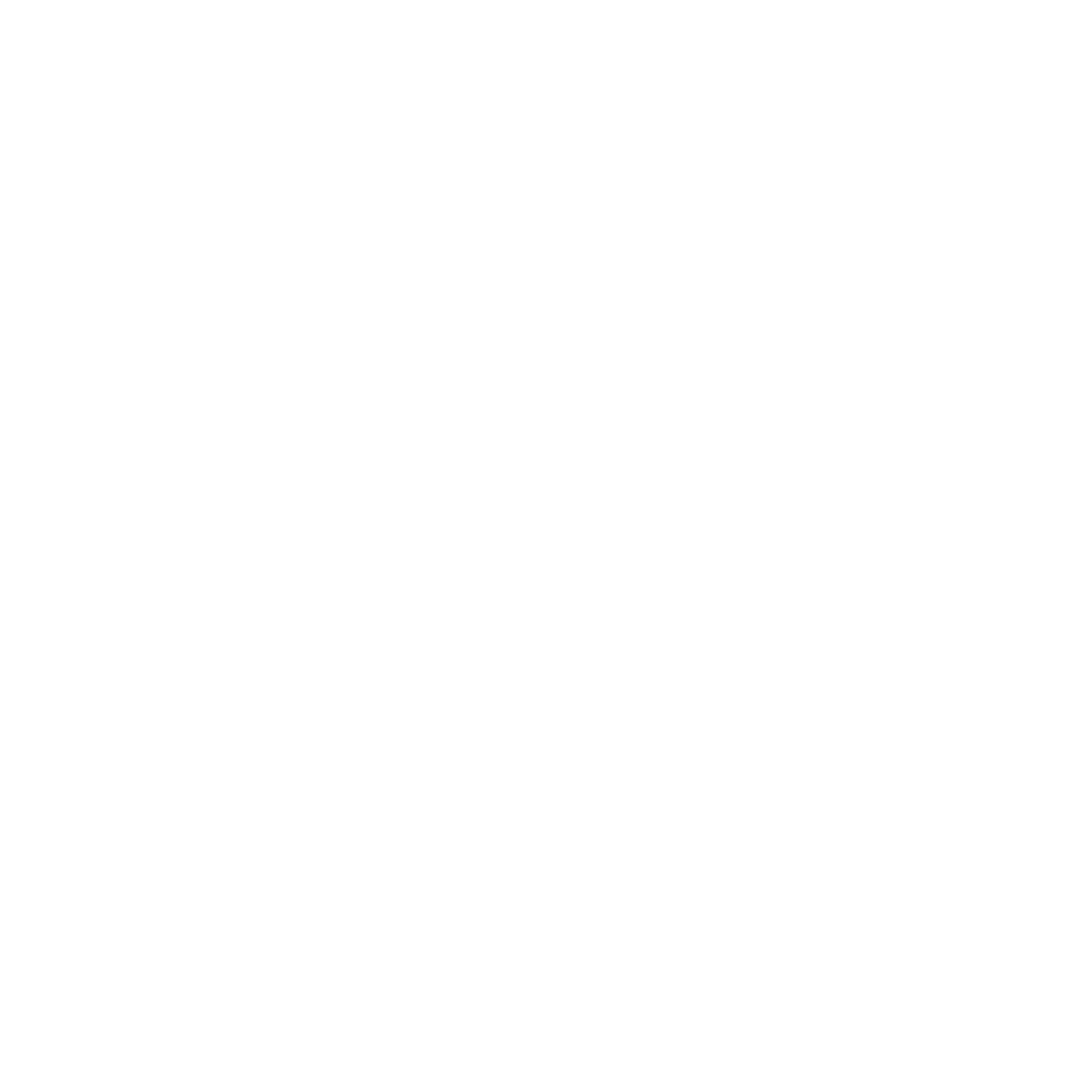 Turkish Airlines